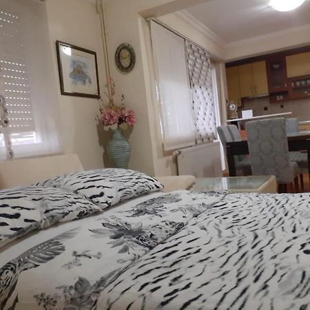 Spacious 80M2 Apartment In The Center Ljubuski Bagian luar foto